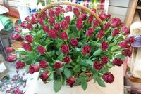 101 роза в корзине кения 40см